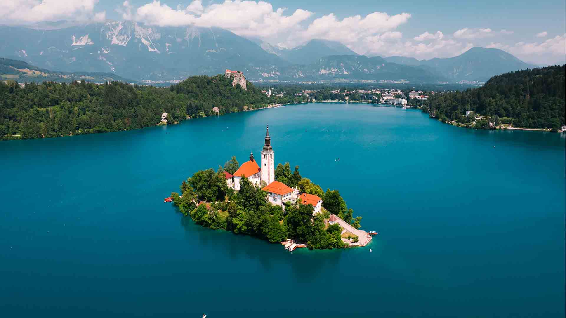 eLex 2025: electronic lexicography in the 21st century, Bled 2025